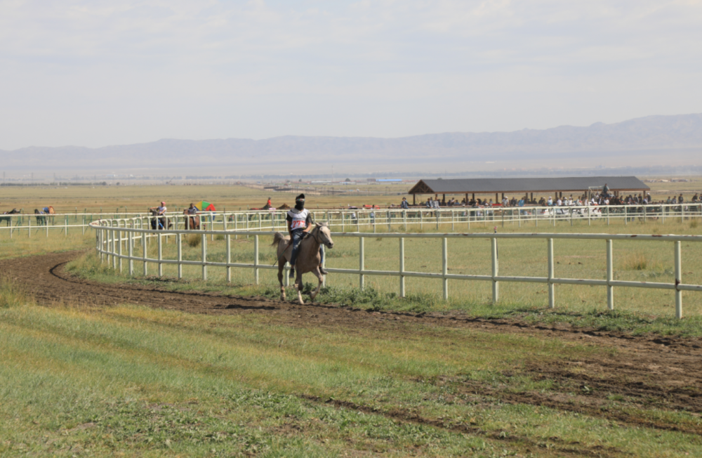 走进乡村看小康|巴里坤县北湖赛马场上演别样的速度与激情