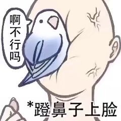 鳥言鳥語表情包