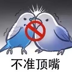 鳥言鳥語表情包