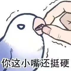 鸟言鸟语表情包