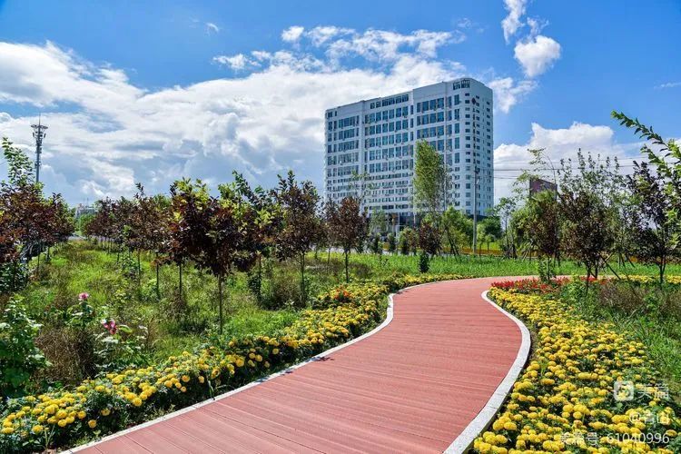 惠民公园风景如画