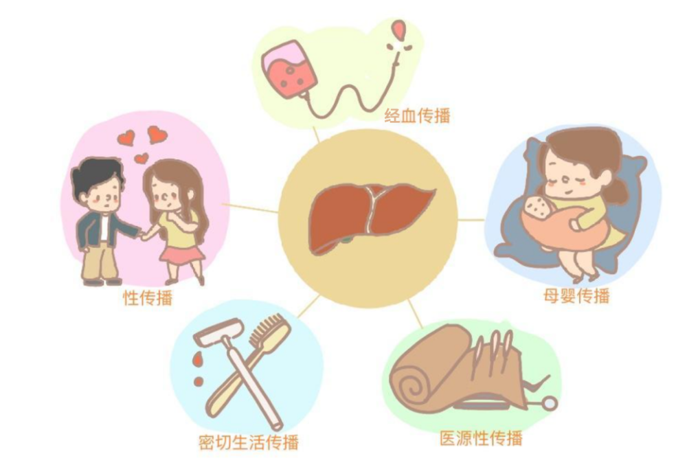 体液和分泌物中,如阴道分泌物,精液,唾液等被证实有传染性,传染性强弱