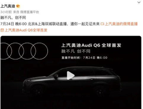 奥迪最大SUVQ6预售50-65万元，保时捷同款2.0T发动机