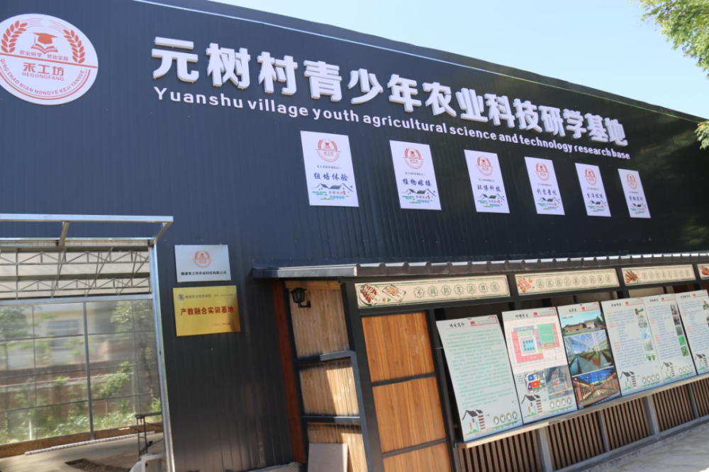 五联一抓看行动元树村产教融合融出乡村振兴新标杆