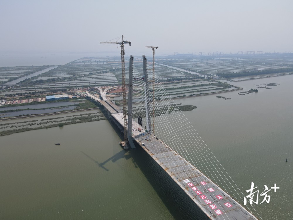 南方视频|广州南沙枢纽跨度最大斜拉桥,红莲大桥正式合龙