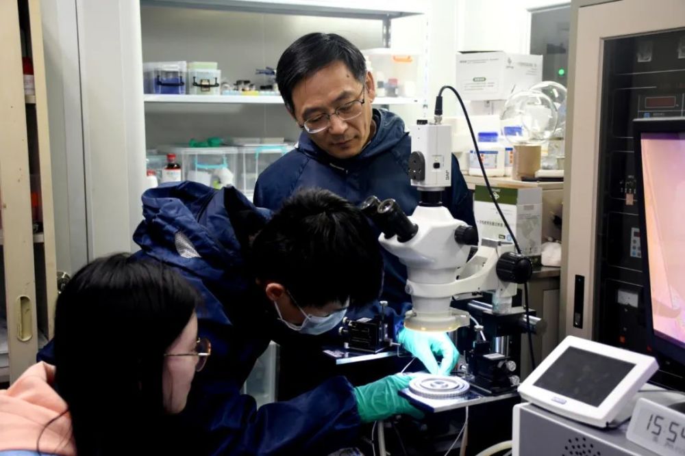 李敬锋:深耕压电与热电材料,助力应用洞见未来_腾讯新闻