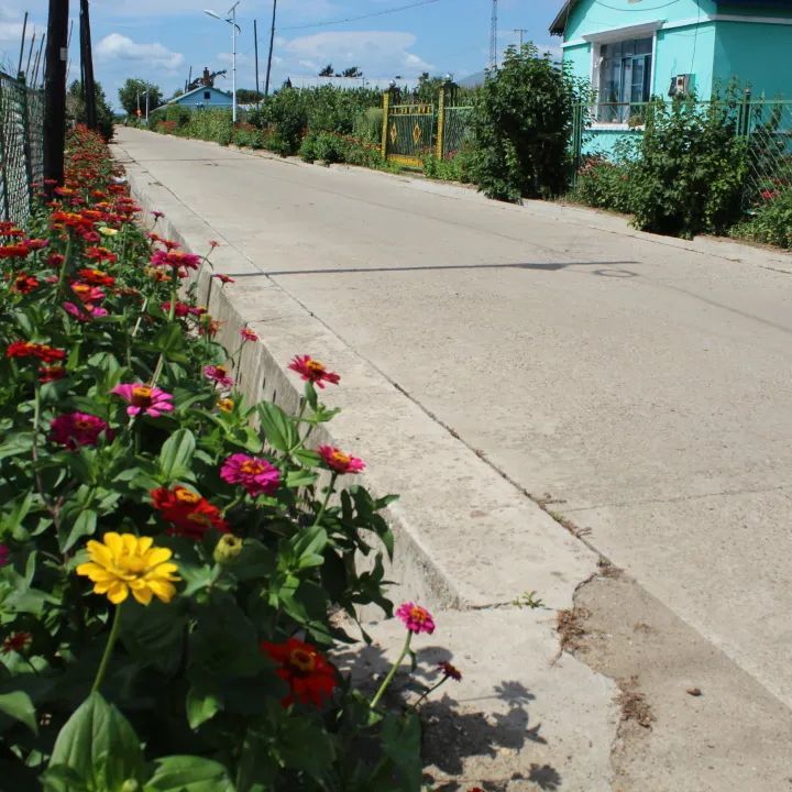 『爱国卫生运动』孙吴县沿江乡:环境整治见成效 乡村处处美如画_腾讯