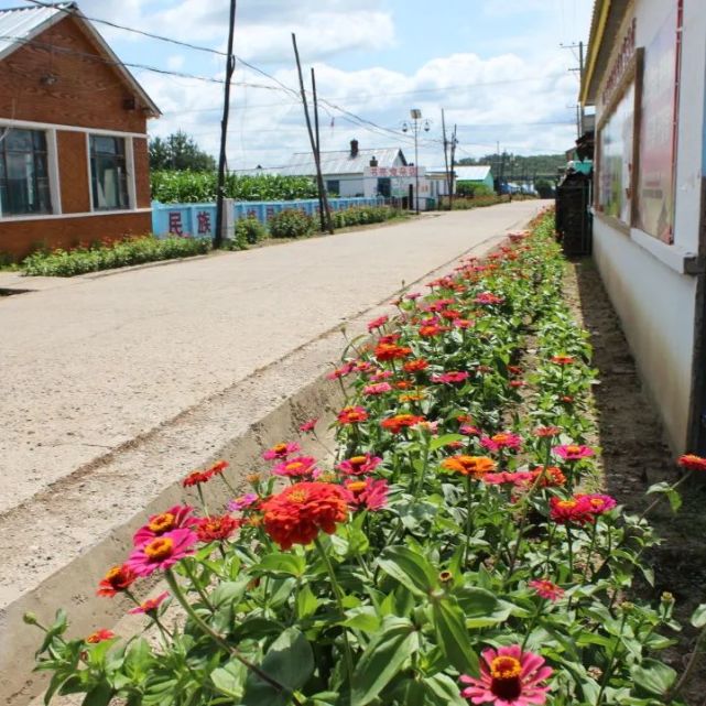 『爱国卫生运动』孙吴县沿江乡:环境整治见成效 乡村处处美如画