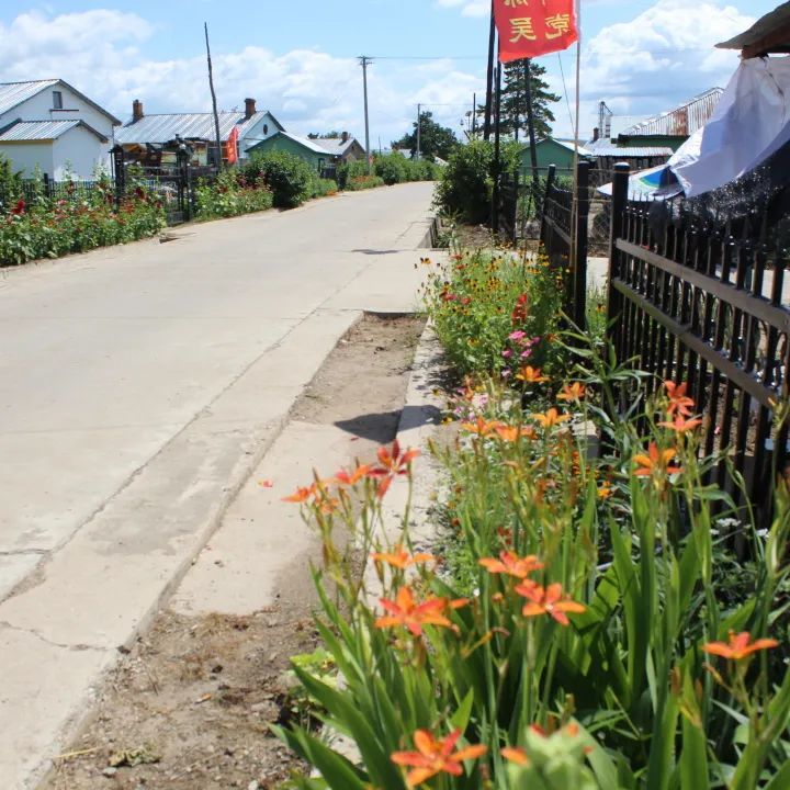 『爱国卫生运动』孙吴县沿江乡:环境整治见成效 乡村处处美如画_腾讯