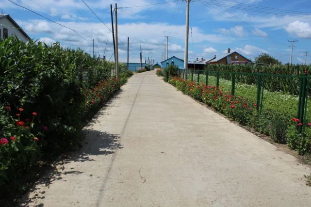 『爱国卫生运动』孙吴县沿江乡:环境整治见成效 乡村处处美如画