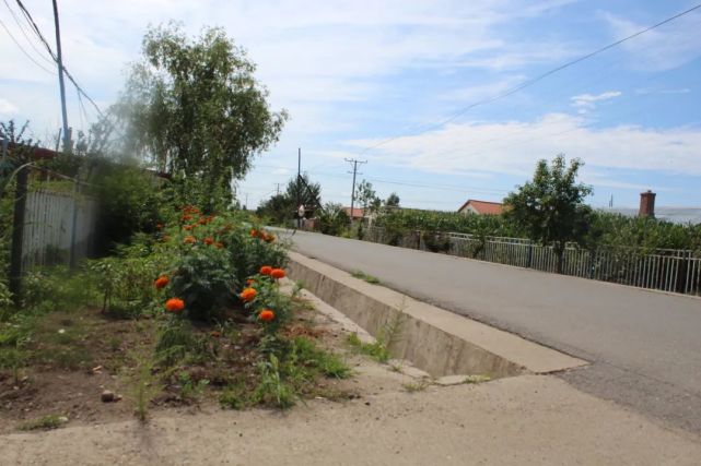 『爱国卫生运动』孙吴县沿江乡:环境整治见成效 乡村处处美如画