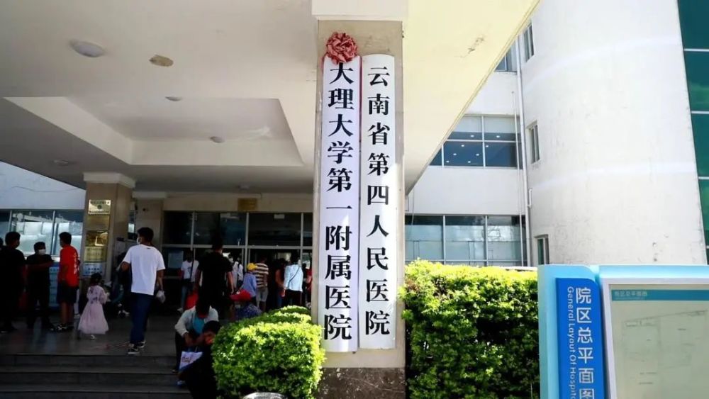 在美国做代孕是合法 "大理学院附属医院 "-第1张图片-融科博客