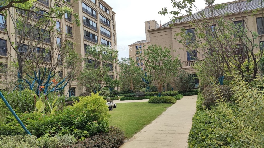 实探滨湖区省府中轴禹州绿城兰园!热度全市前三的新房交付后品质如何?