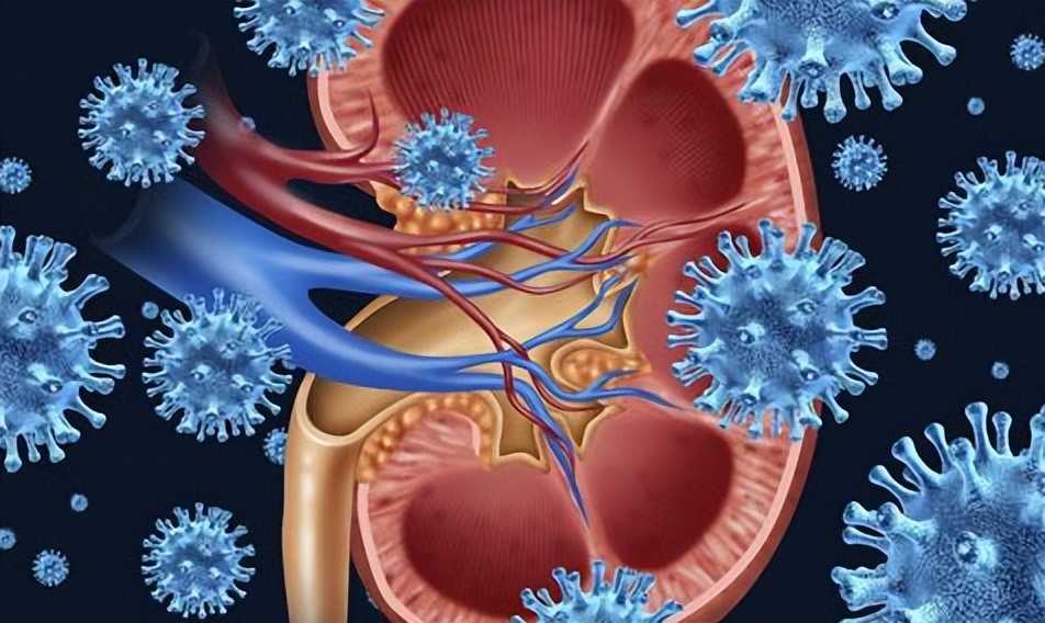 iga肾病患者饮食:宜与忌_腾讯新闻