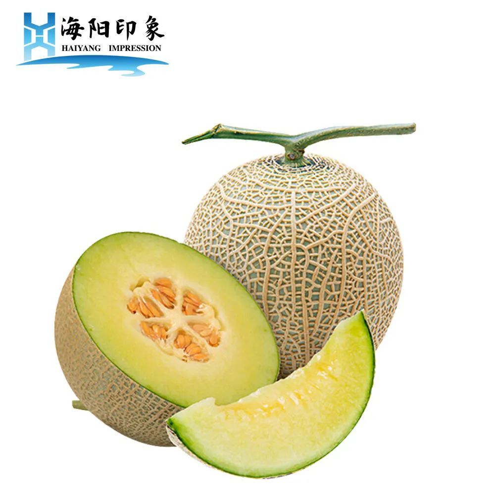 瓜中冰淇淋海阳网纹瓜一口甜过初恋