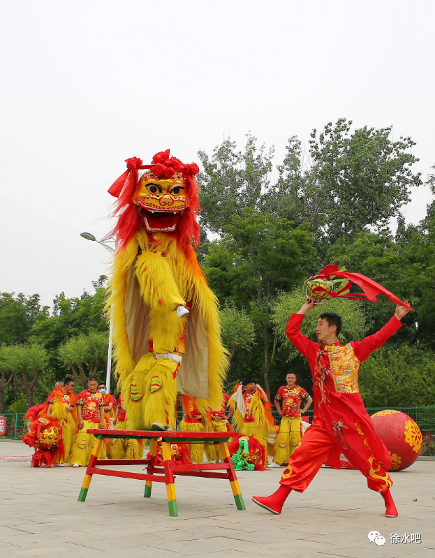 徐水舞狮图片