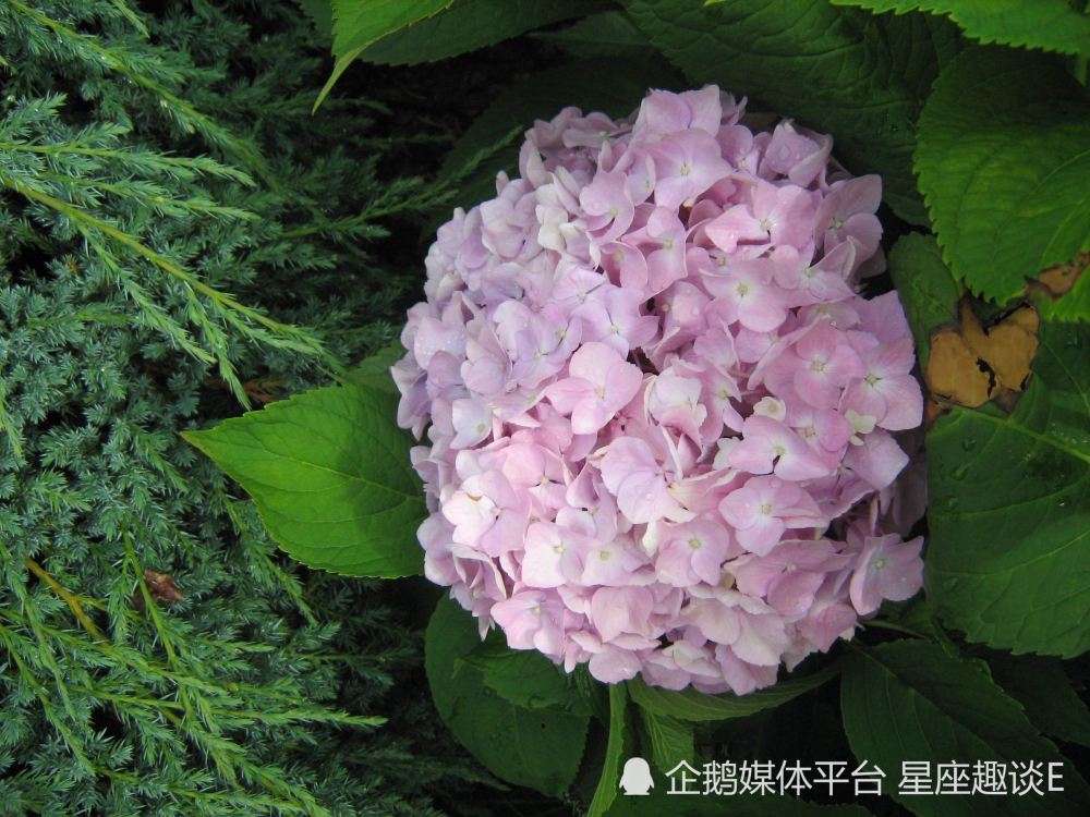 7月27日星座运势 受益匪浅 气势如虹的四大星座 腾讯新闻