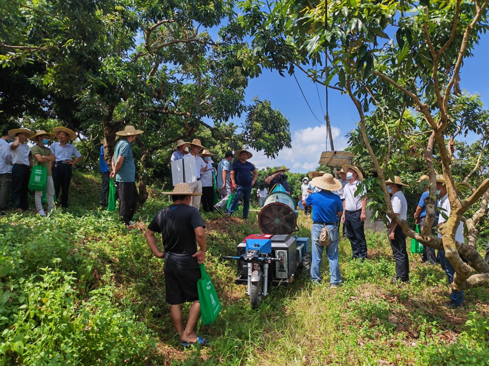 视频|农机农艺相融合!惠州荔枝也可实现机械化种植_腾讯新闻
