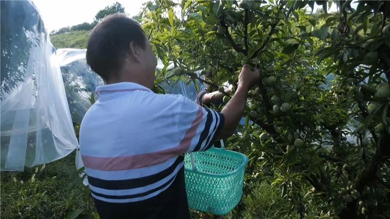 玉屏融媒体中心记者:黄乐,张鹏(实习)编:季佩佩 校:夏琅 吴兆宁 审