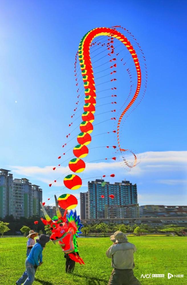 放风筝的人:阳江180米夜光龙风筝飞上天背后的坚守与传承_腾讯新闻