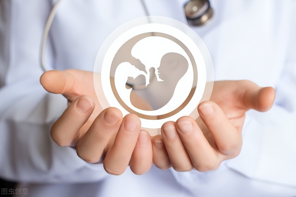 试管婴儿胚胎是如何划分的？