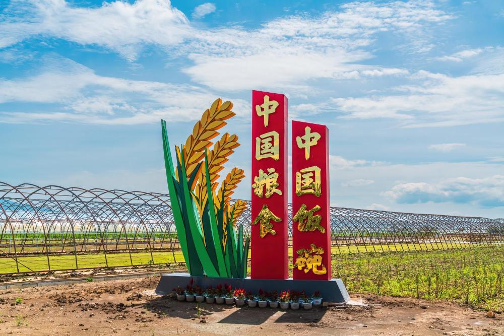 科技兴农在希望的原野上种出幸福画卷中国粮食中国饭碗北大荒现代农业