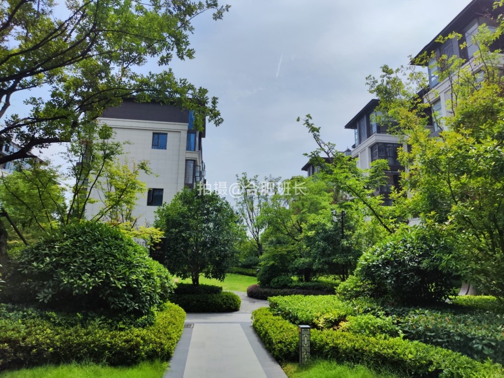 緊鄰公園不如住在公園,實探以中式園林聞名的濱湖區豪宅葛洲壩紫郡府!