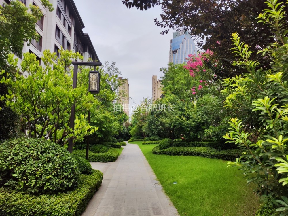 緊鄰公園不如住在公園,實探以中式園林聞名的濱湖區豪宅葛洲壩紫郡府!