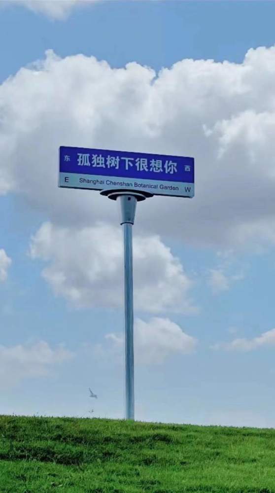 辰山植物园网红"孤独的树"有了路牌作伴,"我在崇明很想你"被带着到处