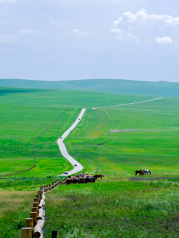 向北向北美在内蒙古
