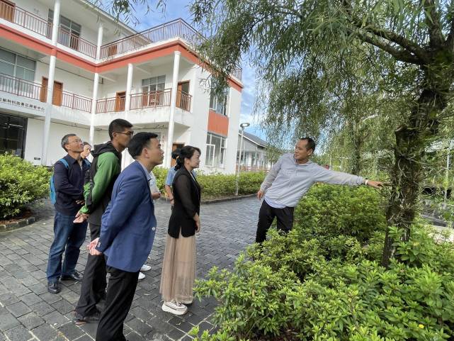 调研组一行先后到昌宁县遐尔茶品有限责任公司,盛昌林产品开发有限