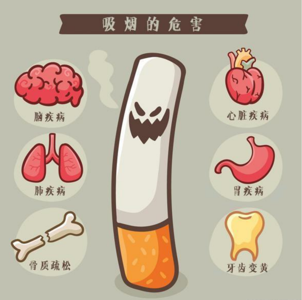 吸烟给身体带来的危害,你不担心,我都替你担心了_腾讯新闻