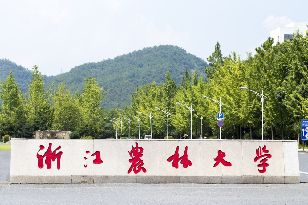浙江农林大学就业好不好?最新数据究竟如何?一文解答_腾讯新闻