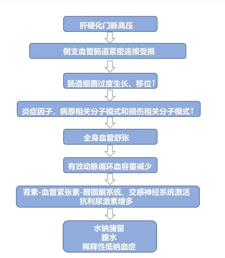 機制主要是:肝硬化門靜脈高壓導致腸道黏膜機械屏障受損,發生細菌移位