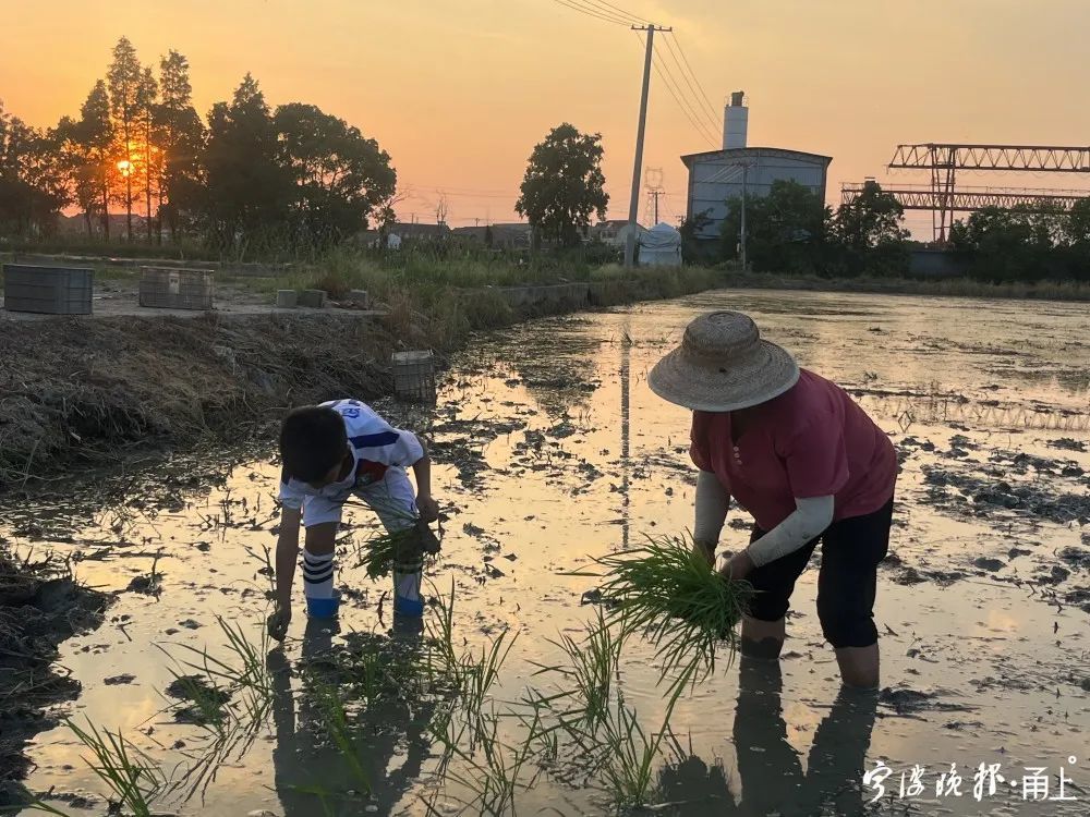 宁波9岁小学生超硬核穿着足球服种田网友狂赞