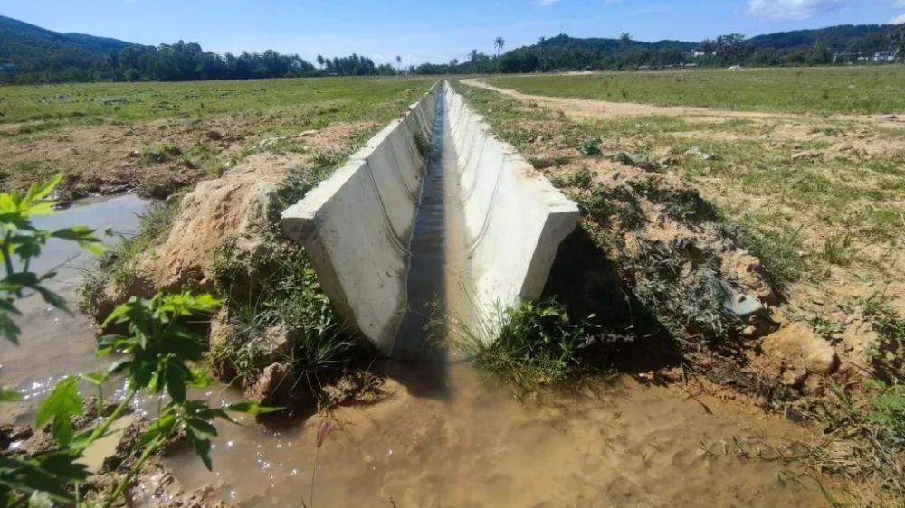 疏通农田"血管" 排水灌溉促产 陵水光坡镇妙景村稳步推进田洋大排沟改