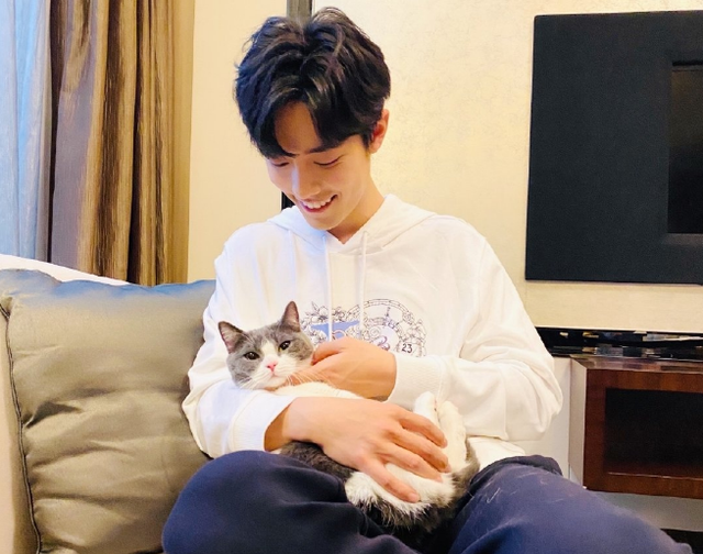 肖战和他的曼基康矮脚猫 - 曼基康小短腿 - 实验室设备网