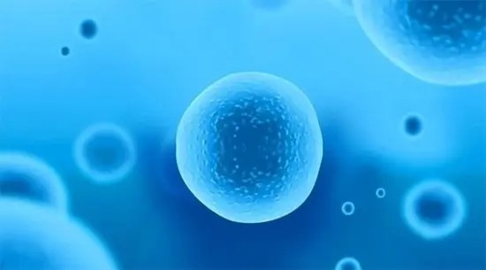 试管婴儿鲜胚,冻胚,囊胚哪种移植成功率更高?_腾讯新闻