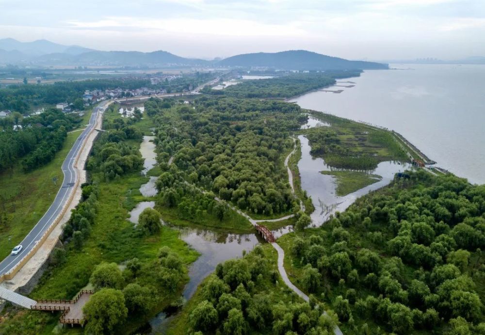 廬江2處環巢湖十大溼地全面建成