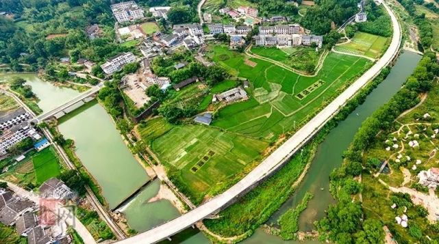 神奇德化南埕这片稻田竟长出大字火爆朋友圈速来围观