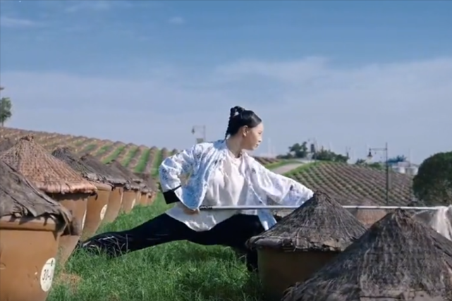 一点寒芒先至而后枪出如龙峨眉凌云的游侠江湖