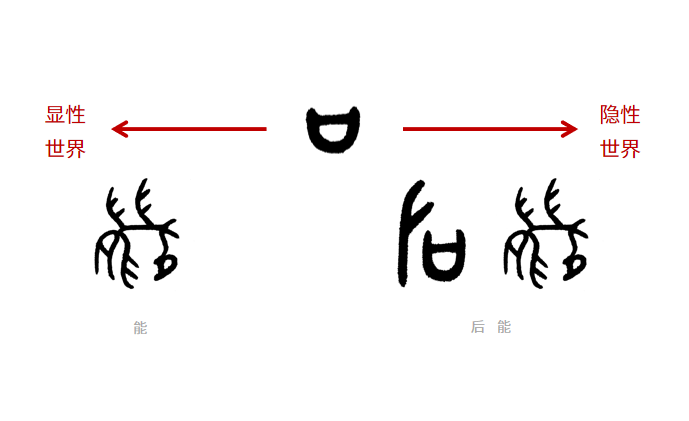 「安」,「慮」,「得」之間的關係我們把「後能」二字的「源頭甲骨文」