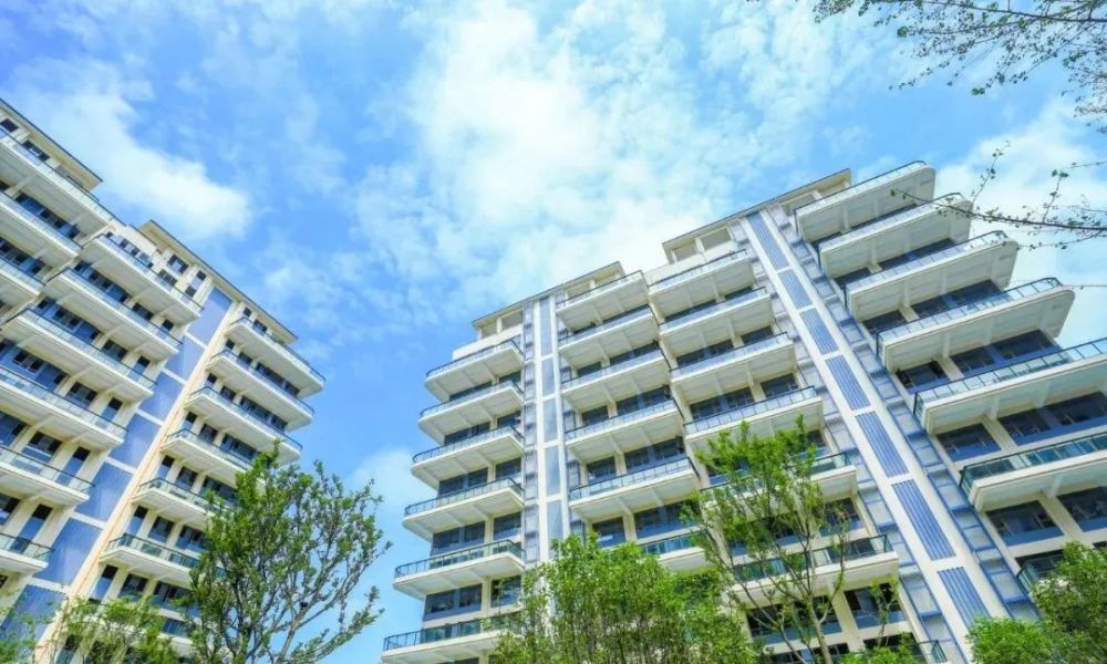 眼见为安 遂宁佳乐世纪城莲韵住宅工地开放日 让业主预鉴美好生活