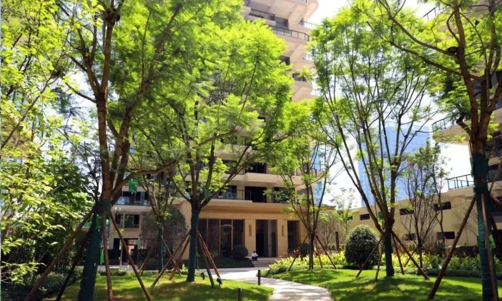 眼见为安 遂宁佳乐世纪城莲韵住宅工地开放日 让业主预鉴美好生活