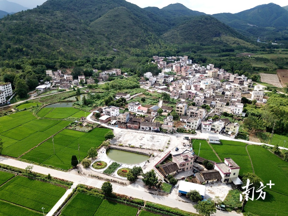 阳山七拱建设生态宜居美丽乡村,乡村振兴驶上快车道_腾讯新闻
