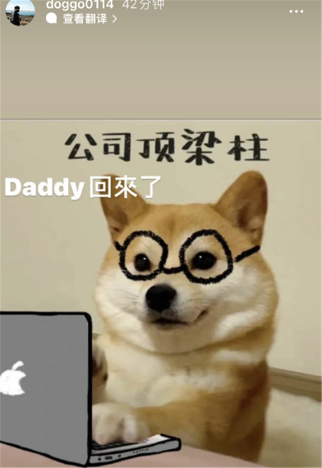 刘青松赢林炜翔后,称呼doggo"我们ad",大狗飘了:我是顶梁柱
