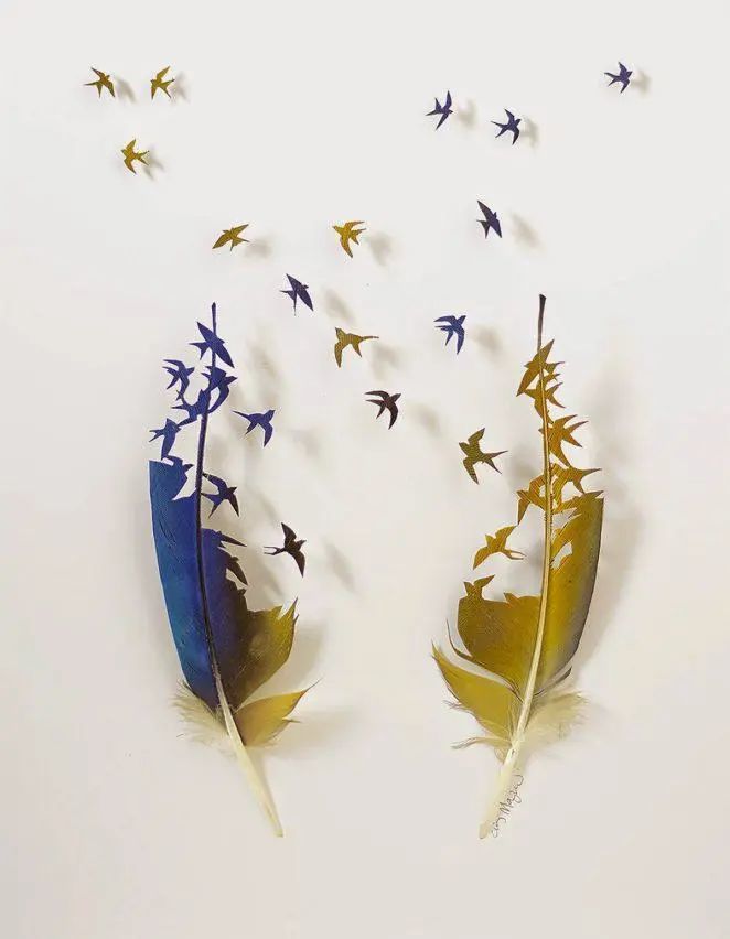 当你遇到挫折质疑自己的时候哦,不妨看一看克里斯·梅纳德的羽毛艺术