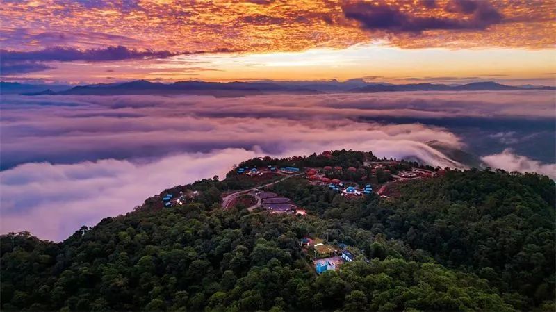 一天一点普洱2446相约普洱畅游一夏丨无量山哀牢山森林自驾之旅静享