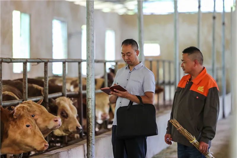 奋进新征程建功新时代李朝富退伍不褪色驻村不歇步