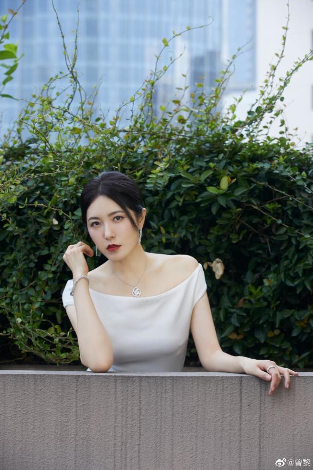 百花奖提名者表彰红毯:袁泉绝美,吴京牵儿子走,曾黎被扶着走红毯